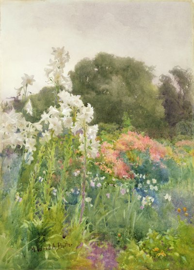 Madonna Lilies by Mildred Anne Butler